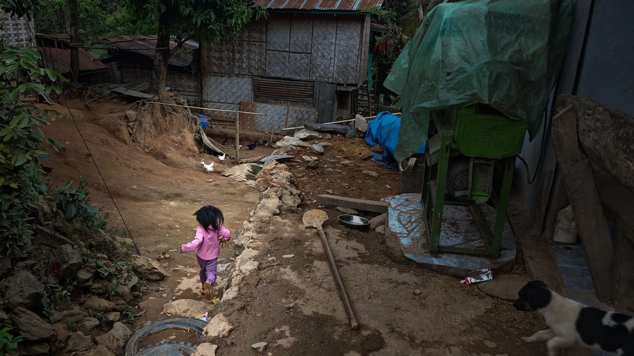 Young girl in pink running along a muddy village path past bamboo houses with a dog and white duck in Ban Haddean, Laos