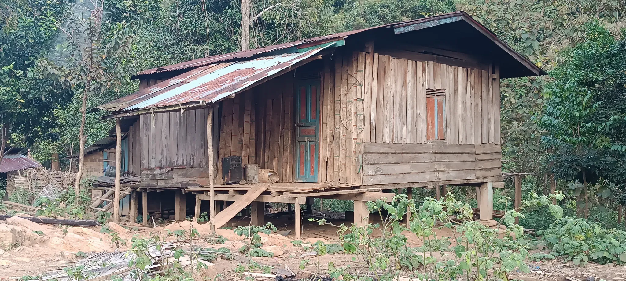 An empty wooden stilted house with blue-painted window frames being reclaimed by vegetation at the abandoned Nam Ou riverside settlement