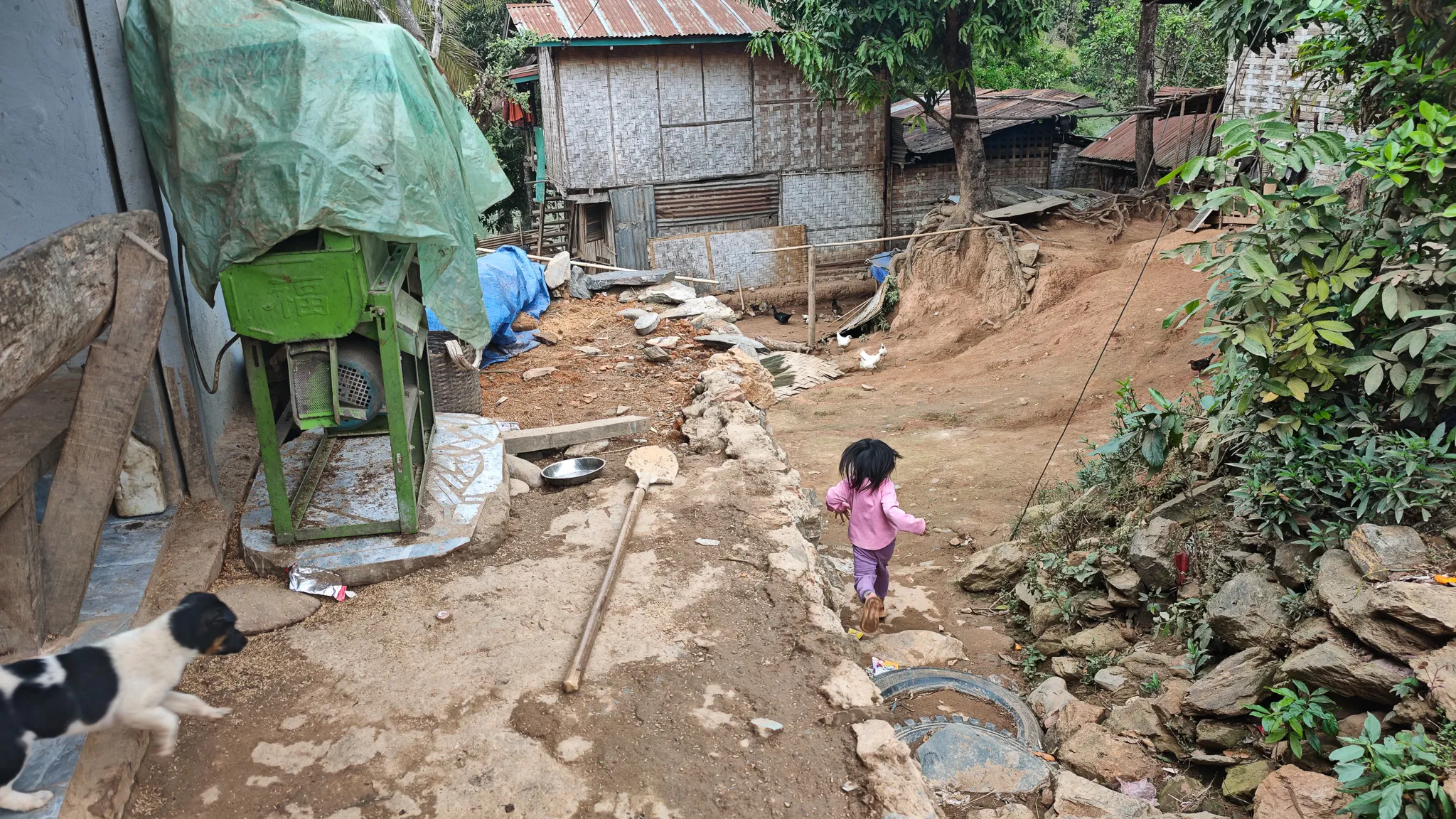 Young girl in pink walking along a dirt path between bamboo-walled houses with a black and white dog in Ban Haddean village