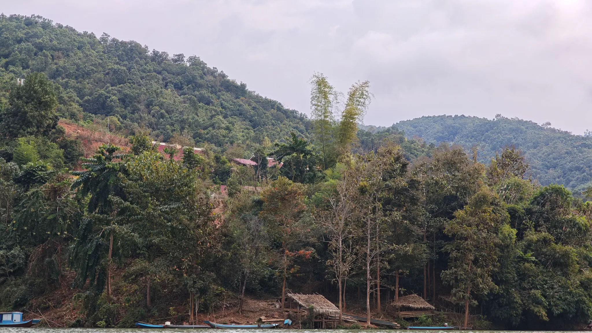 Village with thatched-roof shelters and longboats at the base of a densely forested hillside on the Nam Ou river