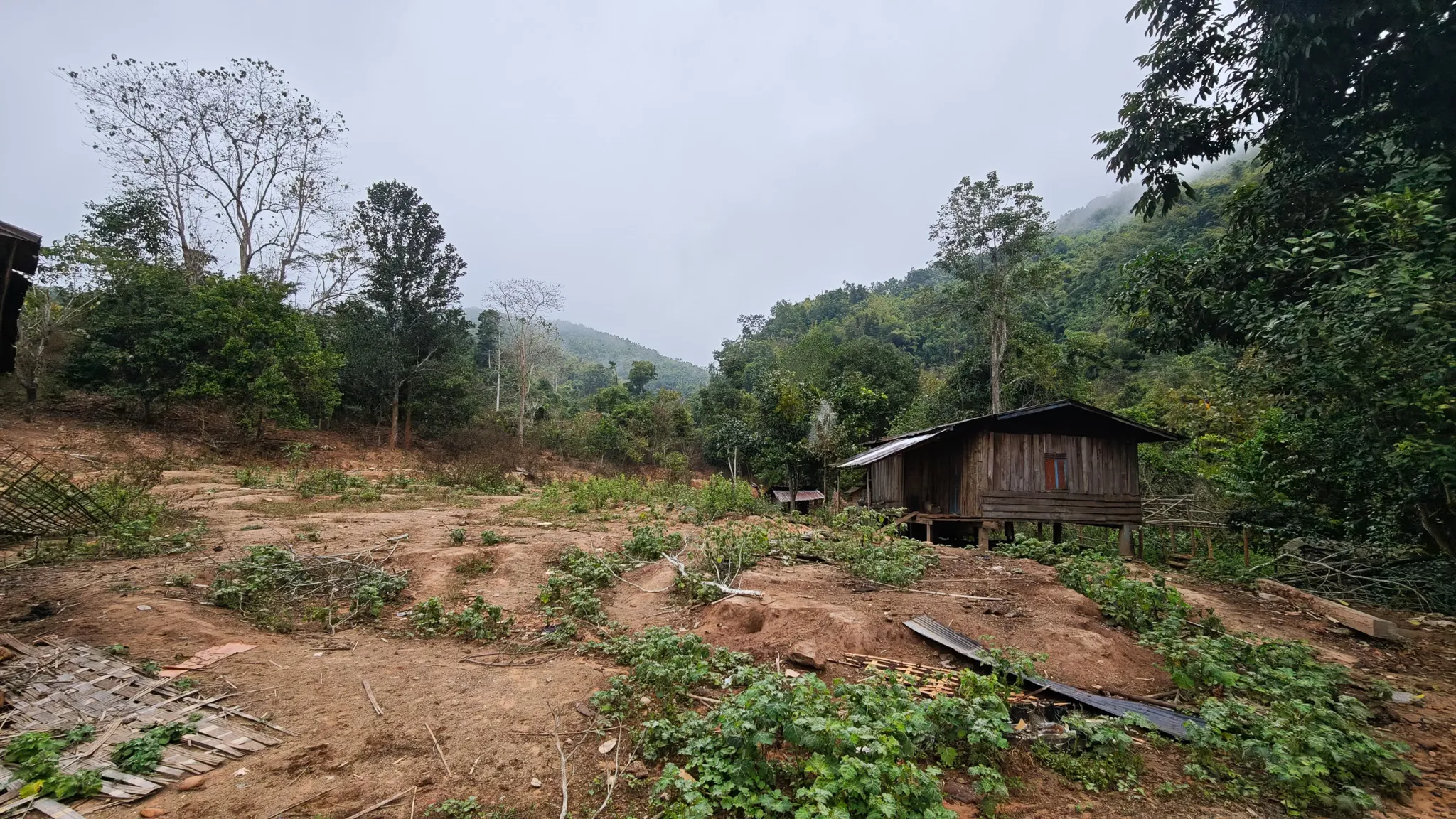 A stilted wooden house on cleared red earth surrounded by jungle in a village along the Nam Ou river