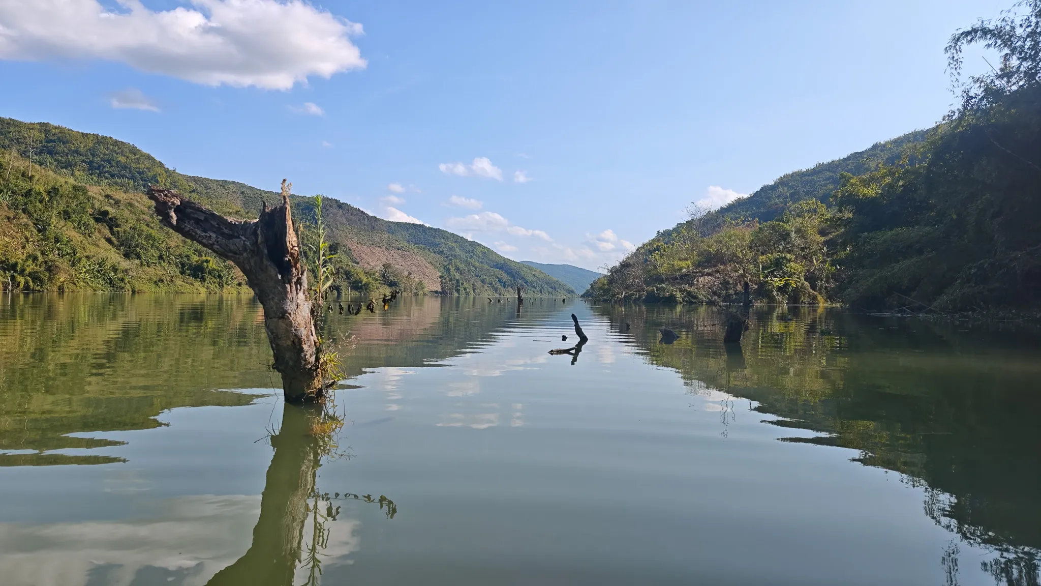 Submerged dead tree trunks rising from the still water of the Nam Ou river reservoir with green hills and blue sky reflected on the surface