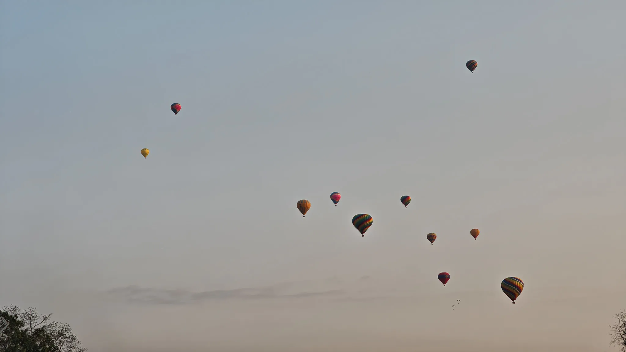 Dozen colourful hot air balloons dotting the evening sky above the treetops in Vang Vieng