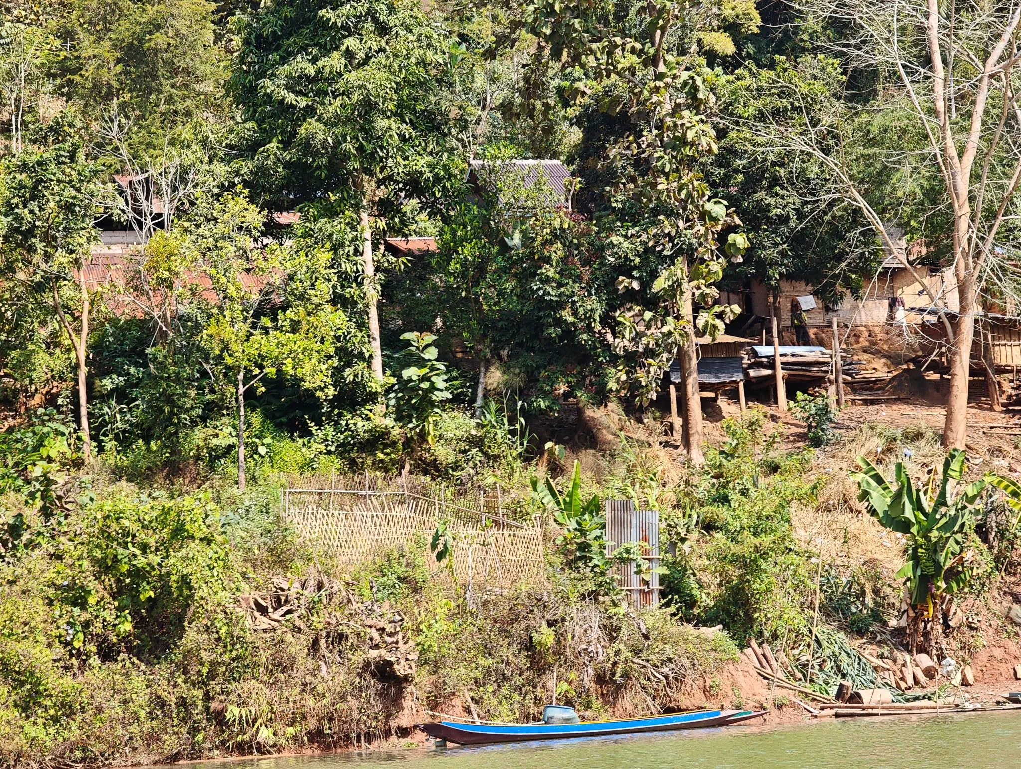 A small Lao village seen from the water with houses among banana trees and dense vegetation on the hillside above the Nam Ou river